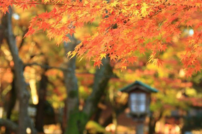 Kanazawa Guest House Nana Екстер'єр фото